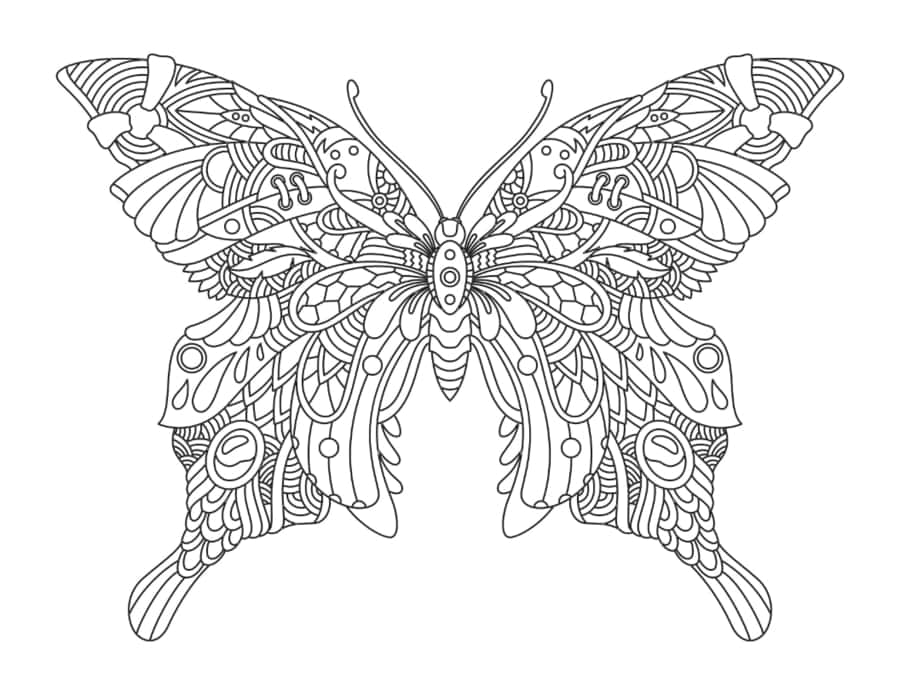 Butterfly Intricate Pattern For Adults Tracing Shape Pdf Free Vectors